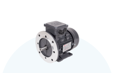 Electric Motors