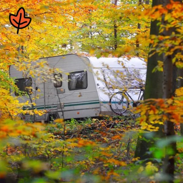 Fall - Star brite Distributing, LLC